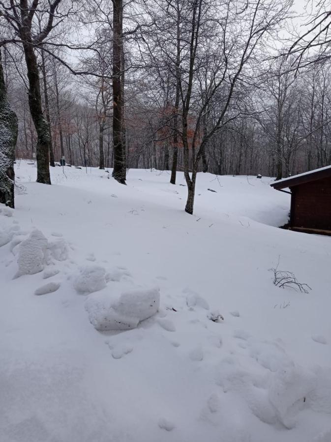 Villaggio Anemone - Chalet Mirtillo Capanne di Sillano ภายนอก รูปภาพ