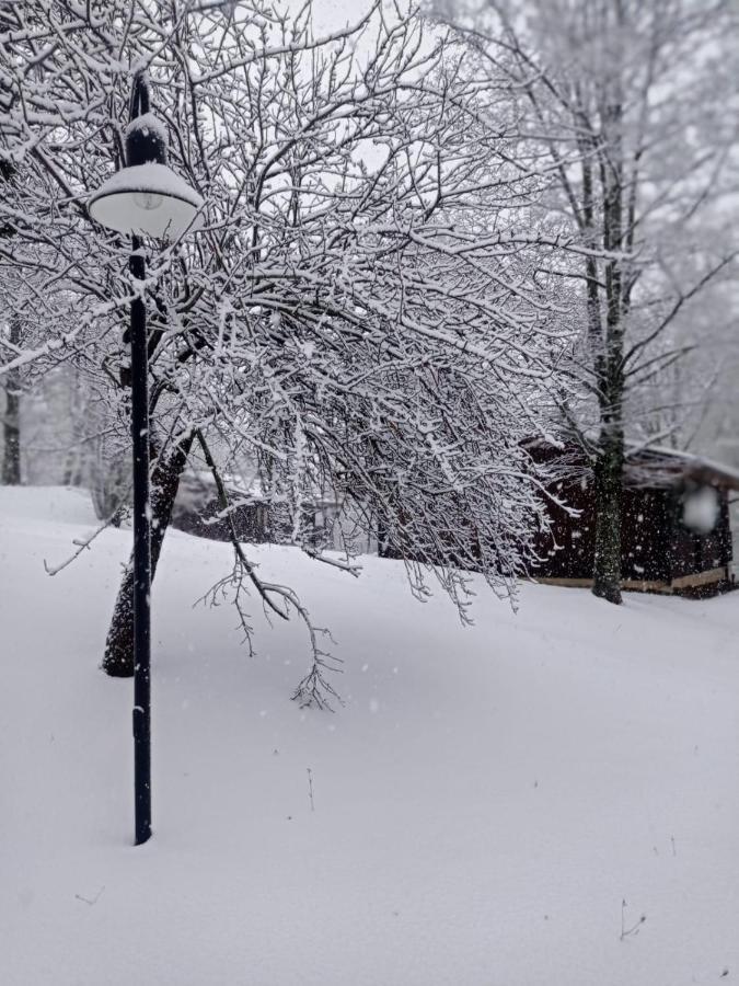 Villaggio Anemone - Chalet Mirtillo Capanne di Sillano ภายนอก รูปภาพ